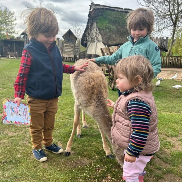 Children petting a fallow deer