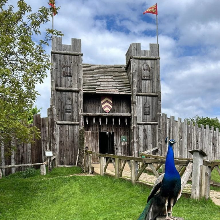 A Peacock outside of a castle entrance
