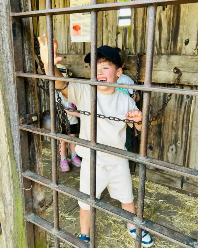 Boy in chains playing at Mountfitchet Castle